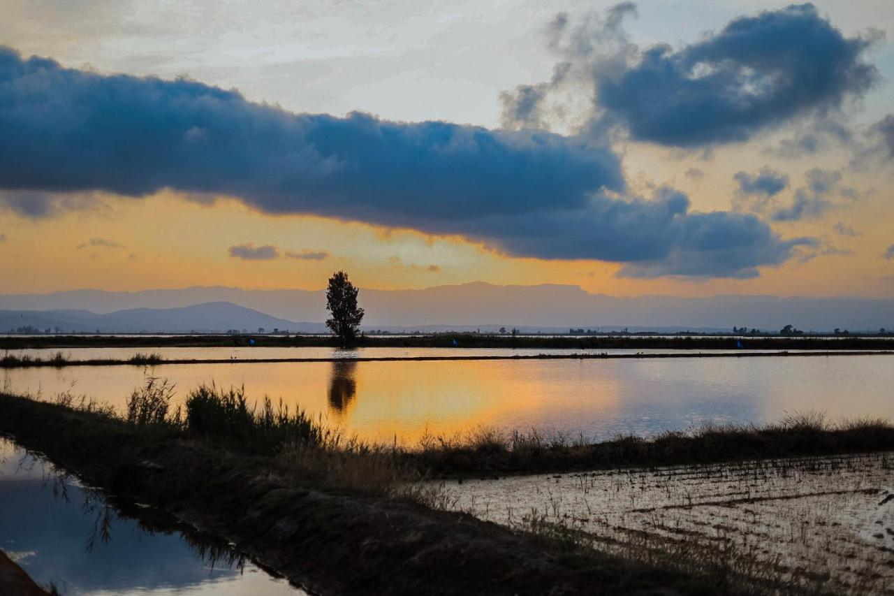 La Casita Del Poble Nou Del Delta Βίλα Εξωτερικό φωτογραφία